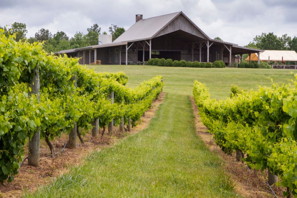 Chattooga Belle Farm